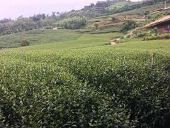 -优游吧斯邹族文化部落