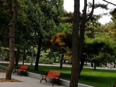 -中央民族大学