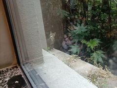 -河南省黄河迎宾馆