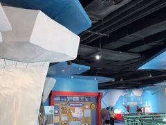 -海合安武汉极地海洋公园