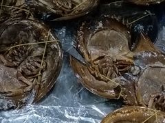 -Jomtien Talay Pao Pattaya