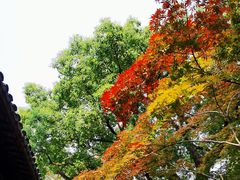 -长广溪湿地公园