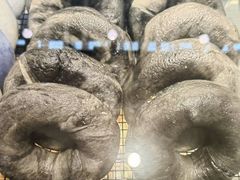 老北京黑芝麻贝果-FINEFOOD凡夫烘焙(MOMOPARK店)