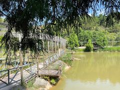 -鼓岭旅游度假区