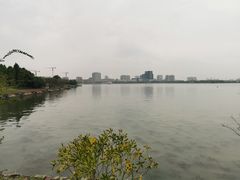 -上海滴水湖皇冠假日酒店