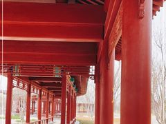 -张家湾公园