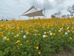 -歌斐颂巧克力小镇