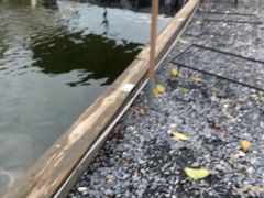 -DGE季风钓虾营地·团建·聚会
