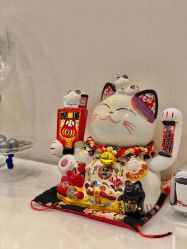 -JNK皮肤管理中心