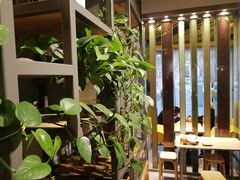 -老陈家擀面皮(平凉路店)