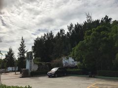 -广东惠东海龟国家级自然保护区