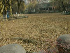 -西安市长乐公园