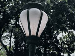 -八大关景区