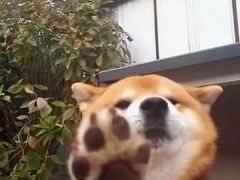 -美联英语(绿宝中心)