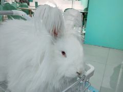 -新佳丽时尚广场