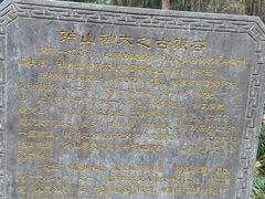 -灵谷景区