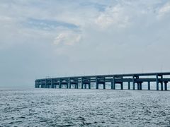 -星海湾跨海大桥