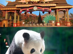 -厦门悦华酒店