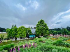 -铁山坪森林公园