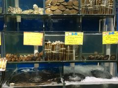 水产区-蚝专家(北滘店)