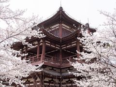 -西安青龙寺遗址景区