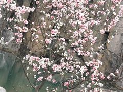 -秀丽东方