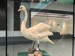 -诸暨博物馆