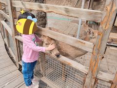 -北京鹿世界主题园