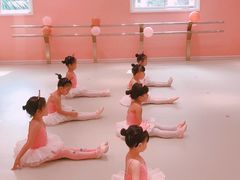 -朵拉舞蹈·少儿舞蹈·成人舞蹈(百花校区)