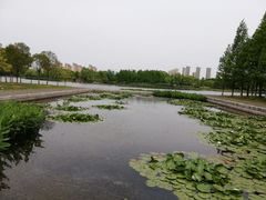 -尚贤河湿地