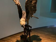 -陕西自然博物馆