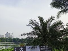 -南宁南湖公园
