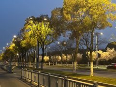 -梁鸿国家湿地公园