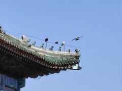 -湛山寺