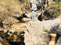 -王顺山国家森林公园