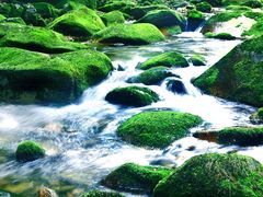 -丹东天桥沟景区