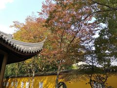 景点-北寺塔
