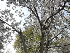 -玉山公园