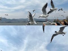 -海埂大坝