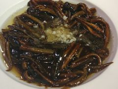 响油鳝丝-老人和饭店(打浦路店)