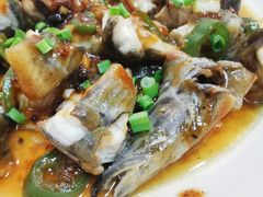 豉汁蒸西江立追鱼-八仔大富楼·河鲜(西江店)