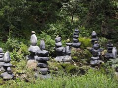 -茅兰沟国家森林公园