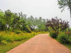 -日照灯塔风景区