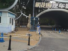 -枫花园汽车电影院(朝阳公园店)