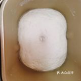 食谱| 超蓬松小包子