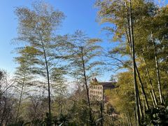 -莫干山风景区