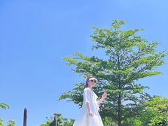 -光明小镇欢乐田园
