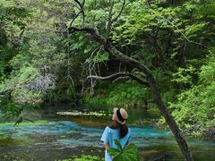 -叠溪松坪沟景区