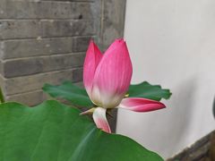 -南城香·饭香串香馄饨香(花园北路店)