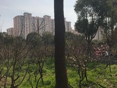 -南汇桃花村